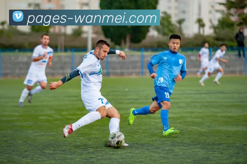 完美体育APP下载发展历程